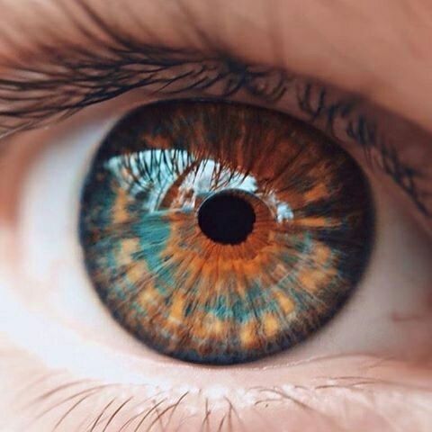 Sim, é possível tratar glaucoma com a prática de exercícios visuais e de forma natural. A pressão alta no olho ou pressão intraocular é um sinal característico do glaucoma, que é uma doença ocular que provoca lesão no nervo óptico.
