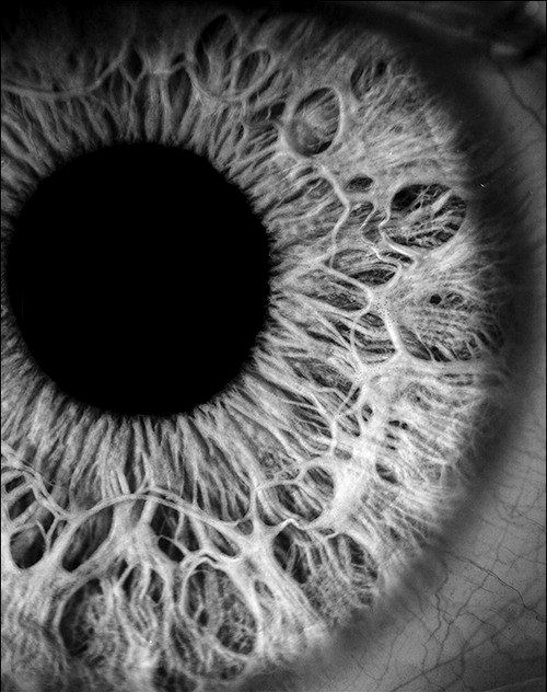 Glaucoma e Catarata Podem Ser Controlados com Terapia Visual