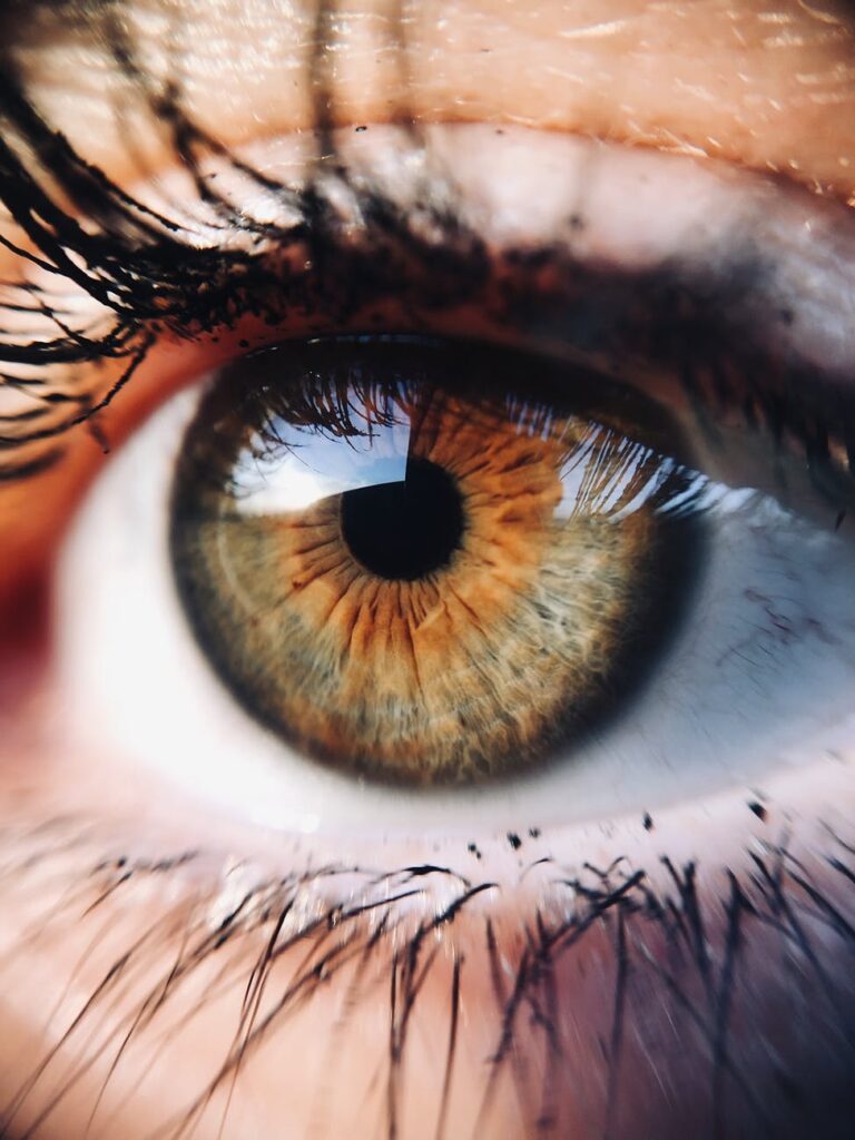 Relaxamento dos Olhos: um dos Segredos para Cuidar da Saúde Visual